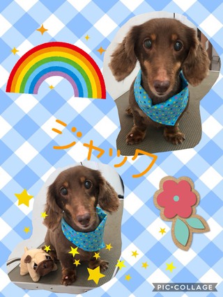 お久しぶりです❗