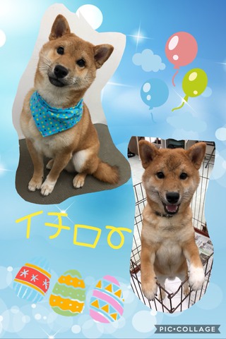 久しぶり!