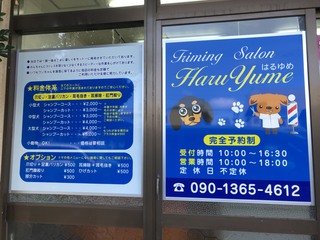大城ハヤト