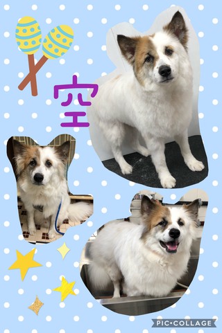 エビ(・ω・つ)3