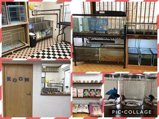 OPEN!! OPEN!!