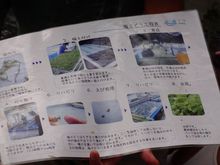 夏休み親子体験 『 海ぶどう狩り体験 』