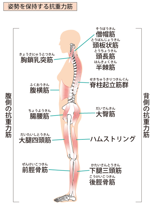 2月3日の記事 2月3日の記事