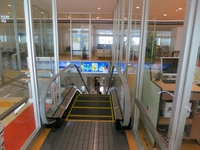 馴れない石垣空港で戸惑う