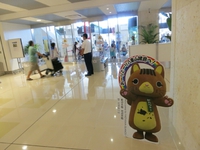 馴れない石垣空港で戸惑う