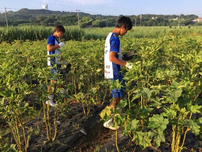 ＦＣ琉球の３選手がオクラの収穫と販売体験を行いました！！