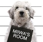 miiwa