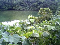 29・静謐な池