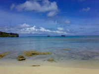 海来ました 2008/07/30 10:53:07
