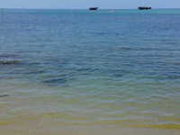 本日の海水浴は終了致しました 2008/08/03 13:56:37