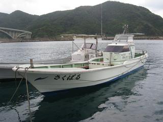 初離島IN 阿嘉島