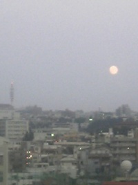 今日は泣き虫なんですっ（；－；）。 2008/02/09 00:20:48