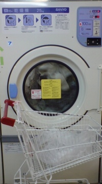ぐるぐる… 2008/01/29 20:02:59
