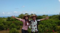 旅人ロケ　１　～今帰仁～ 2008/07/17 13:15:37