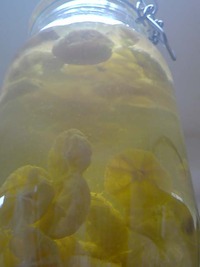 その後の自家製シークヮーサー酒 2009