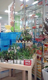 贅沢な買い物 2008/08/01 23:27:52