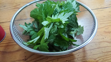 亀そば 亀そば