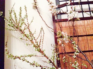 この季節は桜色が似合う。 この季節は桜色が似合う。