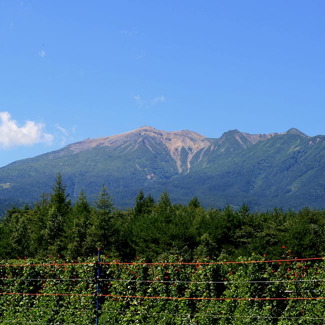 【アウトドア】飛騨高山 日和田高原ロッジ・キャンプ場で週末キャンプ（2020年8月版）