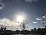 デリバリーされてきた熱帯 デリバリーされてきた熱帯