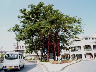 あの道のまんなかの大きな木の下で Ⅱ
