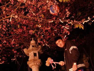 夜桜に会いに