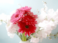 2011年12月30日