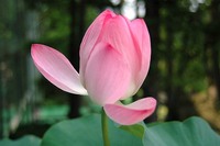 貴方だけの専用セッション 2008/12/28 09:09:00