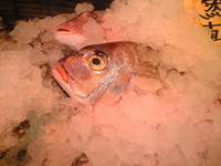 暑い夜には・・・＾＾ 2008/07/09 22:53:36