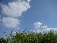 約束～♪ 2008/07/14 09:12:54