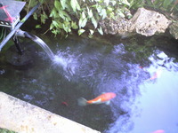 ワイド！！！ 2008/07/04 10:29:38