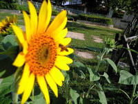 的を外さないで・・・ 2008/07/09 14:10:34