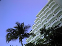過去の事・・・ 2008/07/21 11:21:29