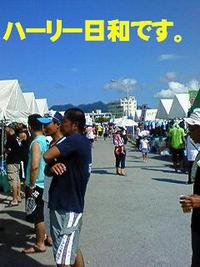 名護ハーリーに出てみる。