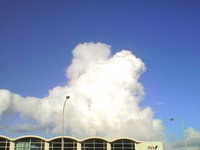 おはようございます 2008/07/05 07:43:50