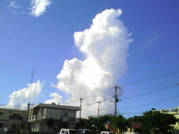 暑い〜 2008/07/06 09:20:42