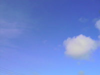 おはようございます 2008/07/09 09:35:38