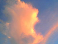 風が〜 2008/07/16 19:44:28