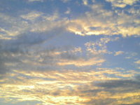 おはようございます 2008/07/24 06:28:55