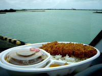 メタボ系海弁・・・