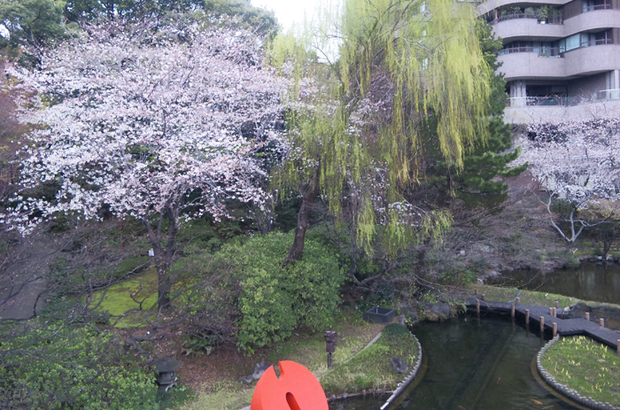 続.さくらぁぁ