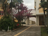 大学訪問 大学訪問
