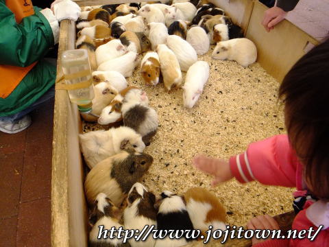 春一番に誘われて