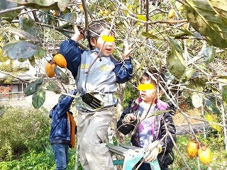 剪定