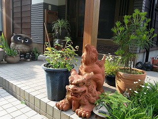 摂食障害の娘と共に 365日