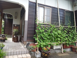 収穫