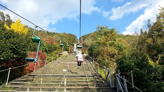 休日 紅葉狩り