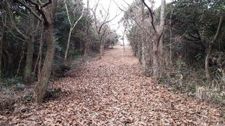 かっぽ酒