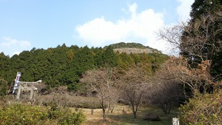 かっぽ酒