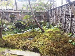 水郷の街 柳川まで。